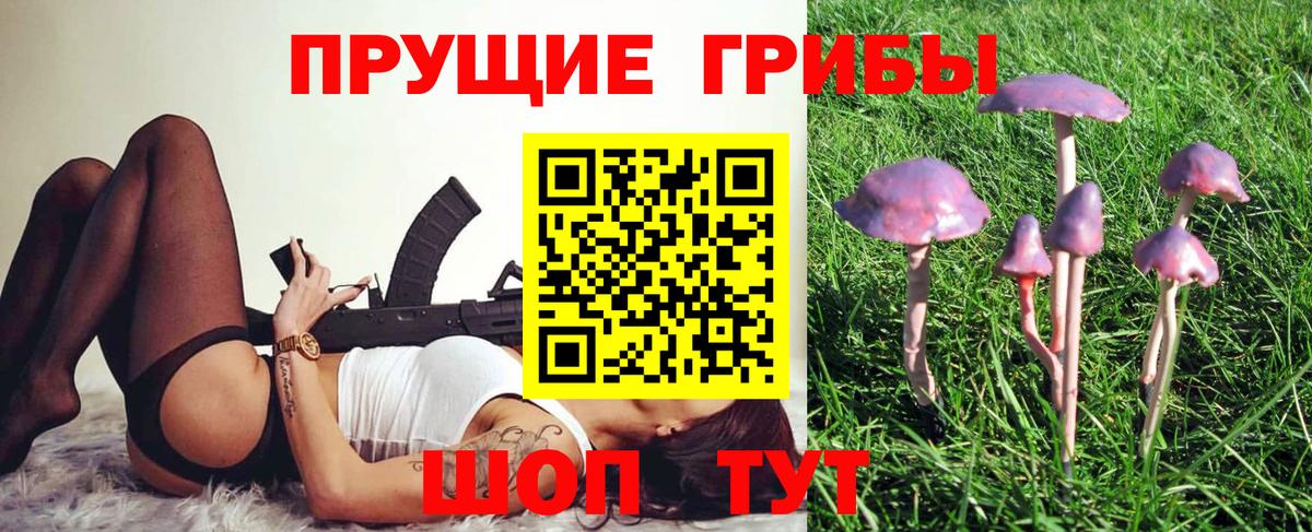 Псилоцибиновые грибы ЛСД  Вход с VPN  Электрогорск  Псилоцибиновые грибы ЛСД 